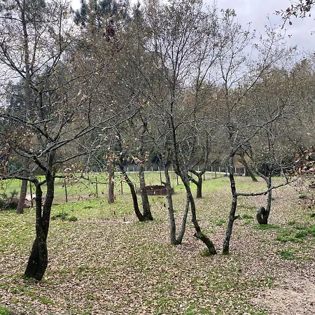 Βίλα Quinas Playground Souto da Carpalhosa